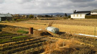 20110102134514.jpg