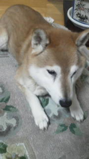 20110504203307.jpg
